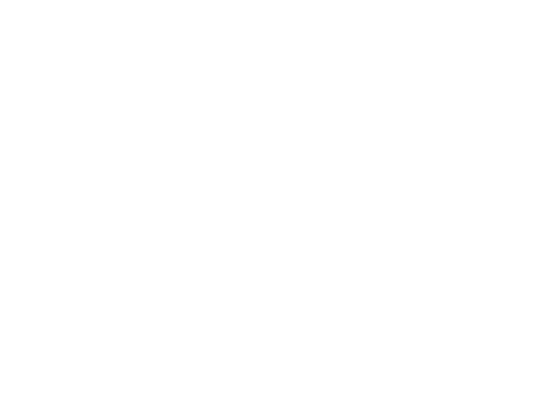 Jugueteria del Sur