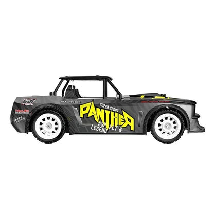 Auto a Control Remoto - 1/16 Drift Pista Panther - UDIRC UD1602 - Jugueteria del Sur
